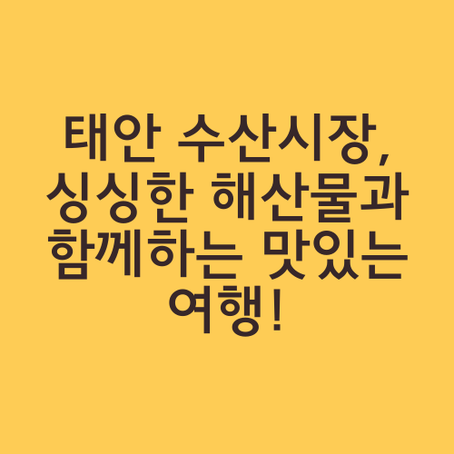 태안 수산시장, 싱싱한 해산물과 함께하는 맛있는 여행!