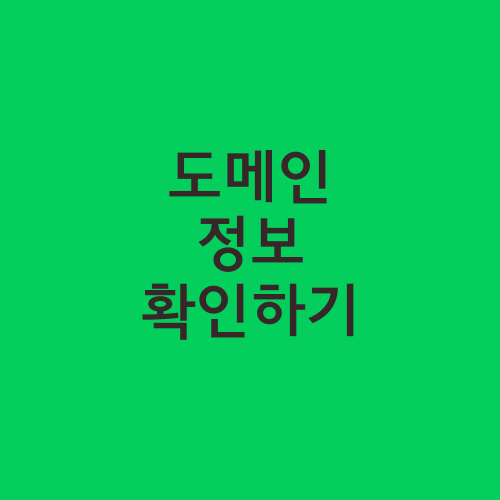 도메인 정보 확인하기