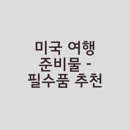 미국 여행 준비물 - 필수품 추천