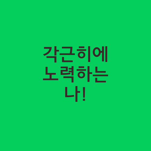 각근히에 노력하는 나!