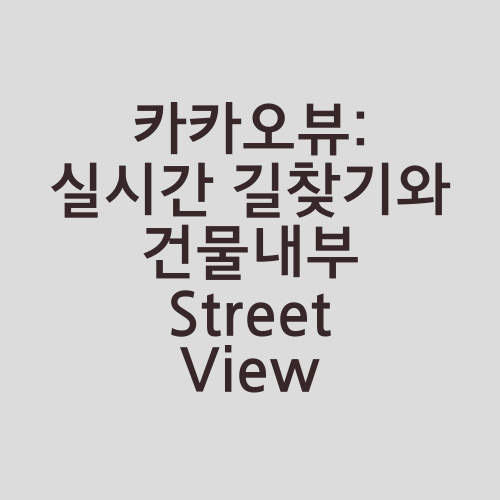 카카오뷰: 실시간 길찾기와 건물내부 Street View